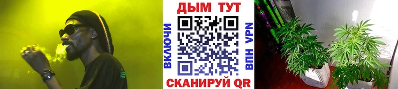 Наркотические вещества Заозёрный Alpha PVP Мефедрон Псилоцибиновые грибы Cocaine Каннабис