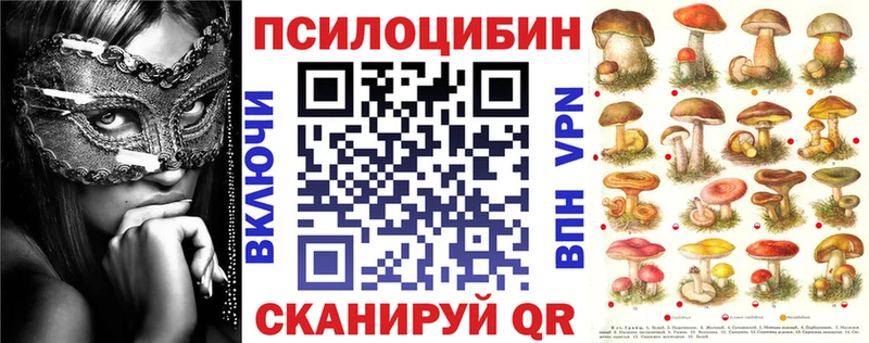 blacksprut онион Заозёрный Псилоцибиновые грибы Cubensis