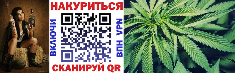 Конопля индика  Заозёрный 